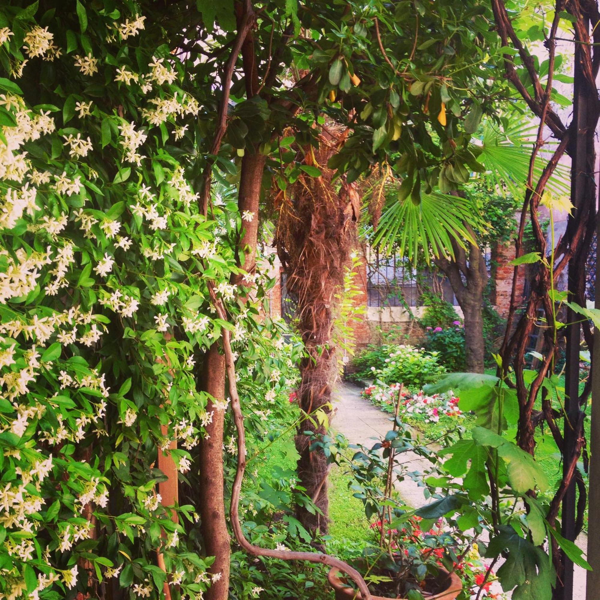 Bed and Breakfast 3749 Pontechiodo Venecia Exterior foto