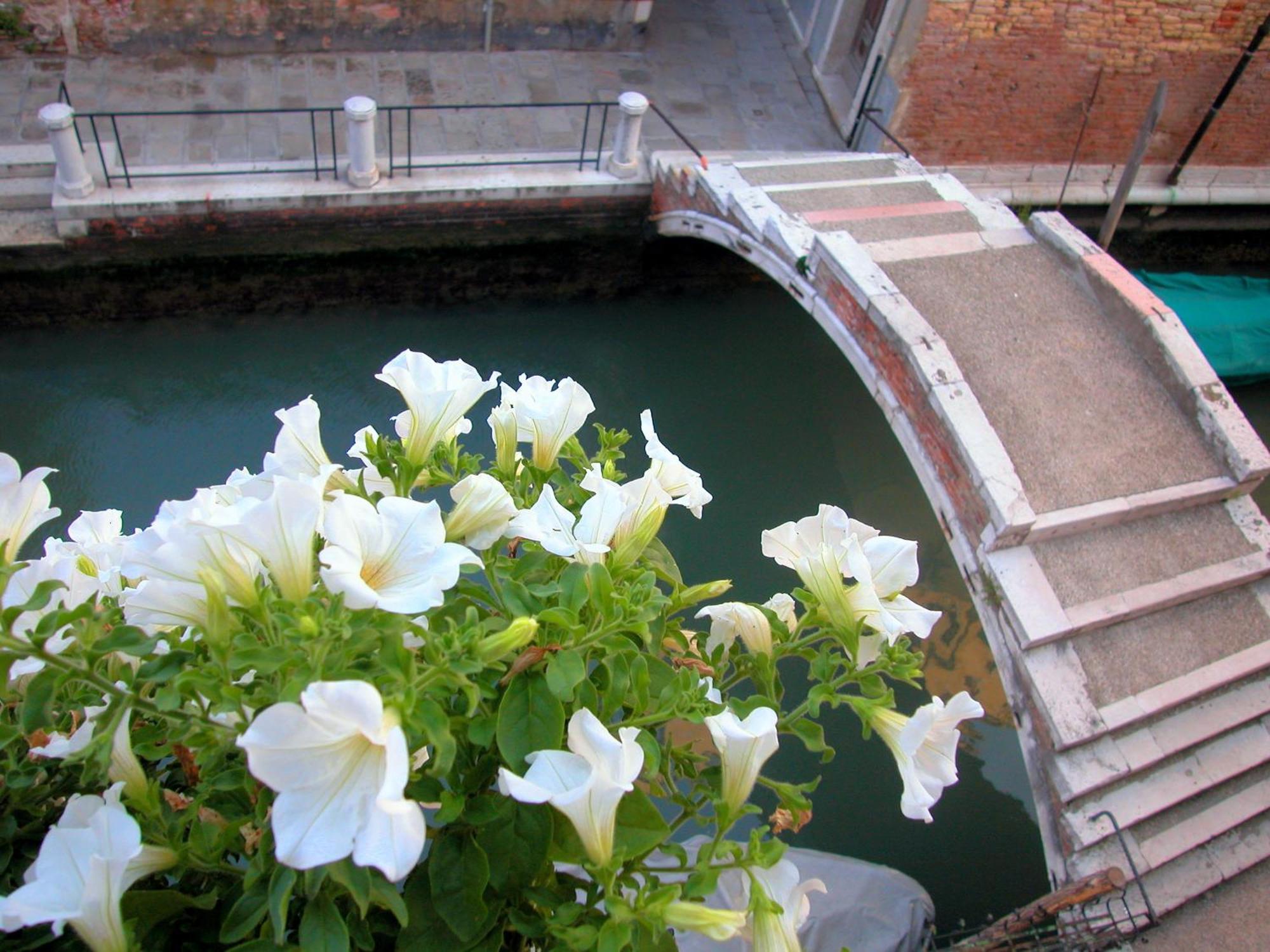 Bed and Breakfast 3749 Pontechiodo Venecia Habitación foto